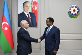 Azerbaijani PM meets with Somali Foreign Minister