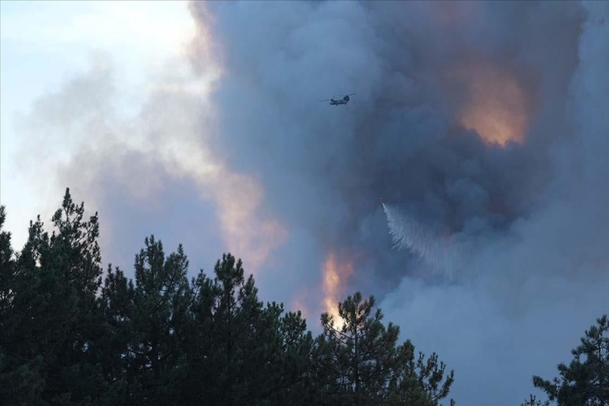 Fight against forest fires continues in Türkiye