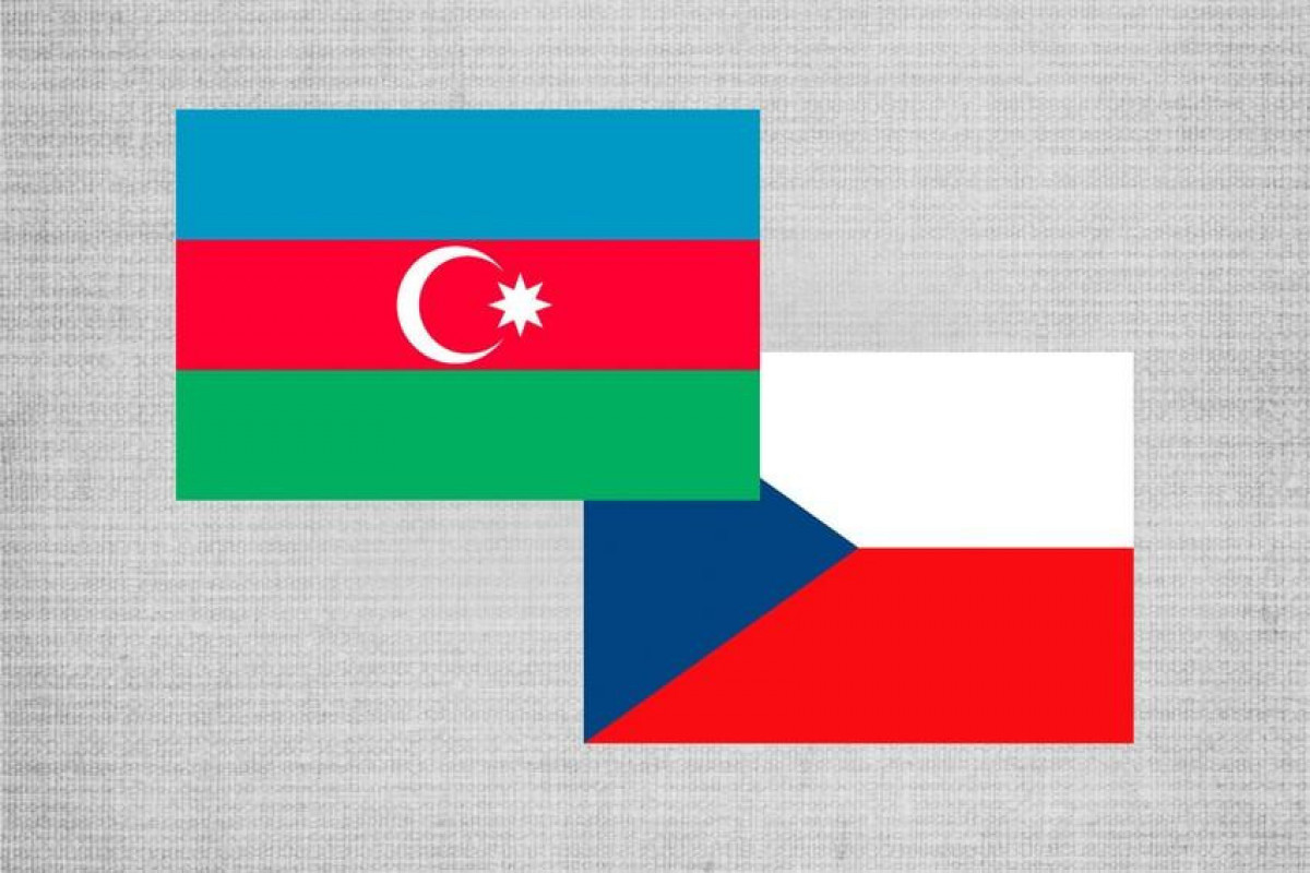 Azerbaijani, Czech Foreign Ministers held phone conversation