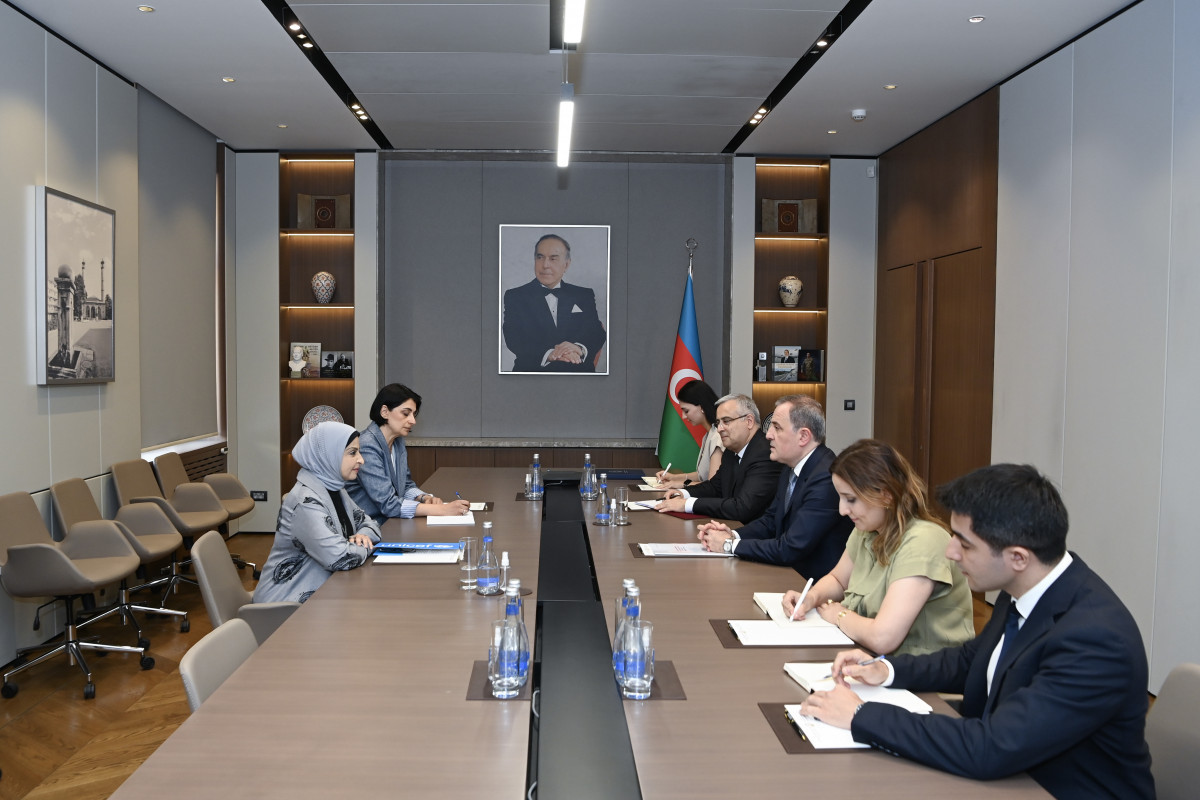 UNICEF representative’s diplomatic mission in Azerbaijan concludes
