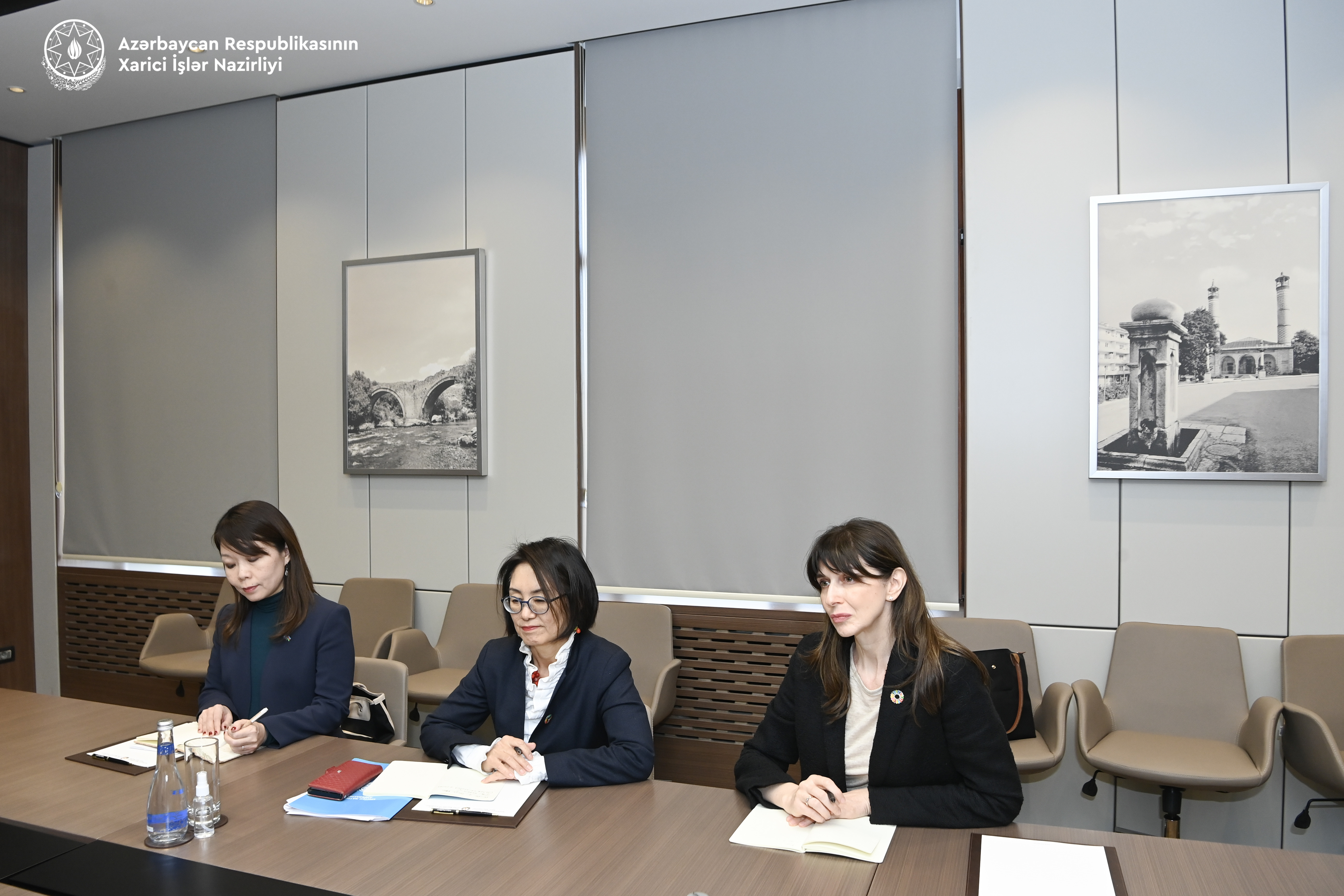 Azerbaijani FM meets with United Nations Development Coordination Office’s Regional Director for Europe and Central Asia