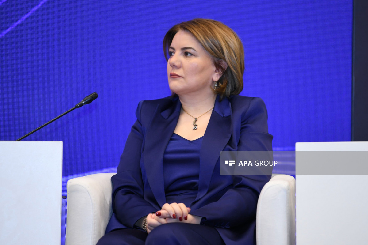 Baku hosts panel discussion within framework of Stratcom Public Forum -PHOTO 