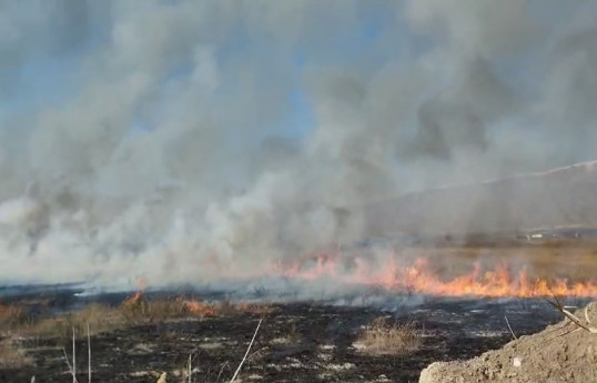 Fire on border in Nakhchivan's Sadarak district caused by Armenia extinguished -VIDEO -PHOTO 