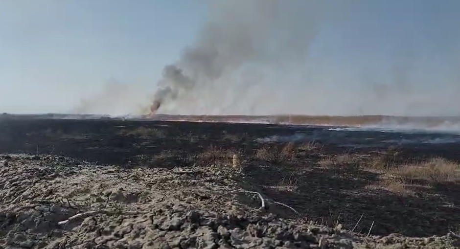 Fire on border in Nakhchivan's Sadarak district caused by Armenia extinguished -VIDEO -PHOTO 