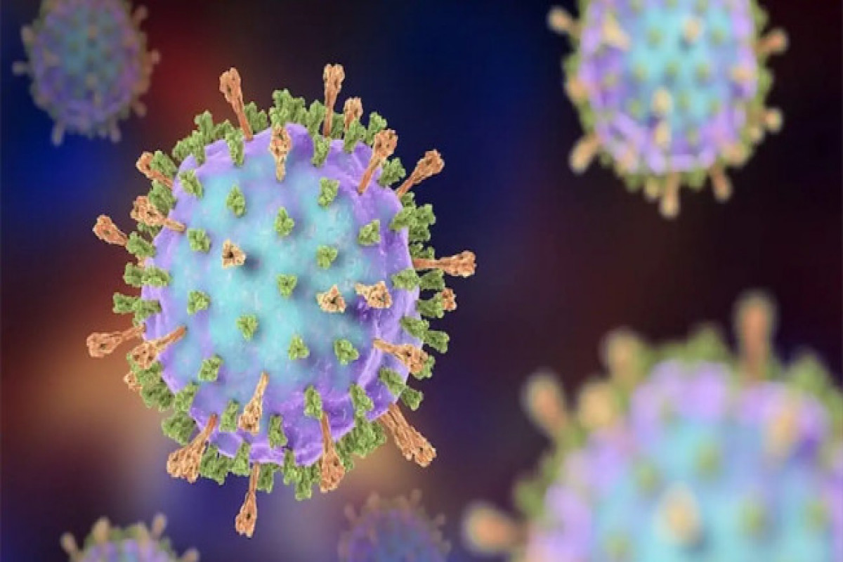 Two dead, nearly 230 sickened in US measles outbreak