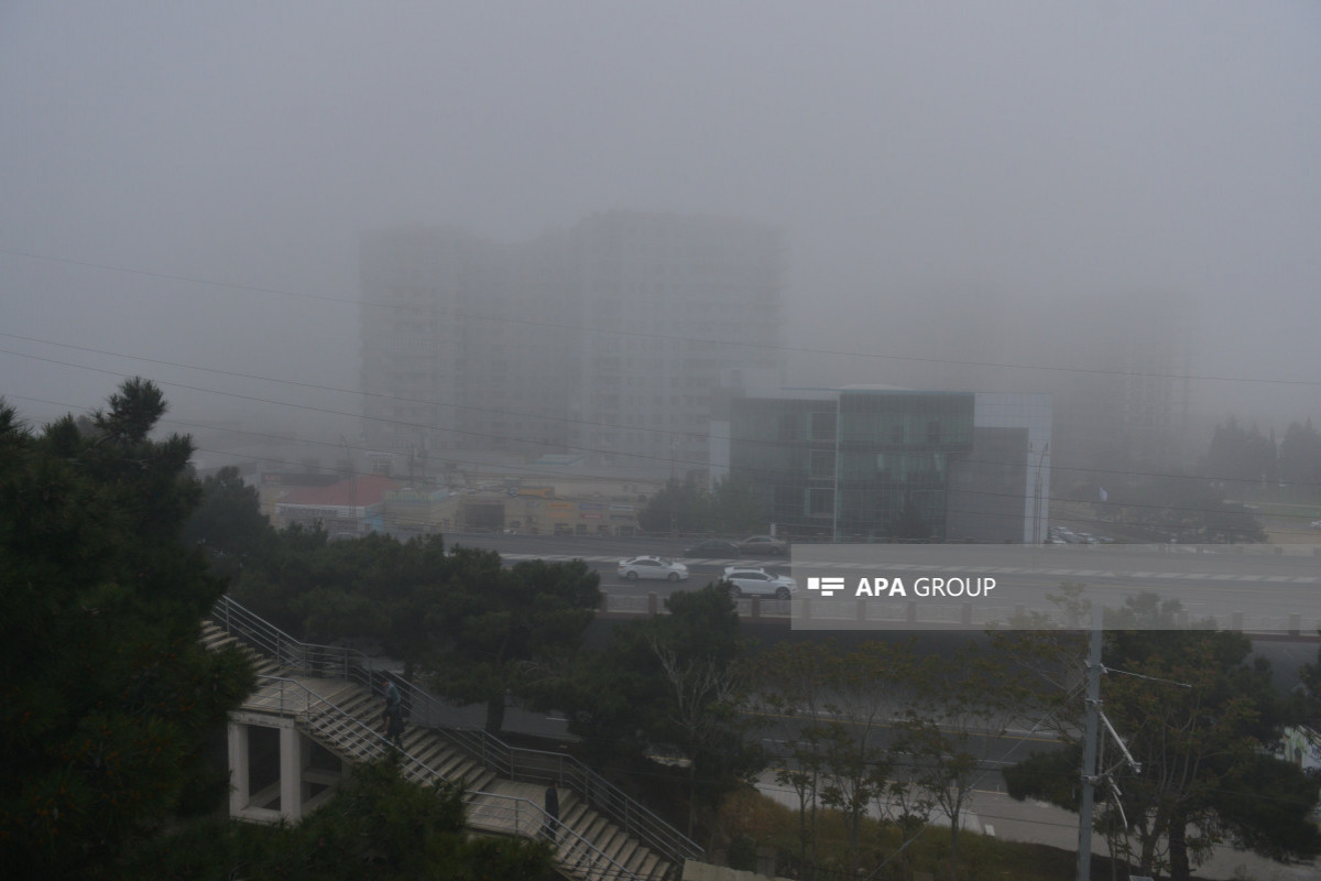 Foggy weather to persist in Azerbaijan until March 14 -ACTUAL WEATHER 