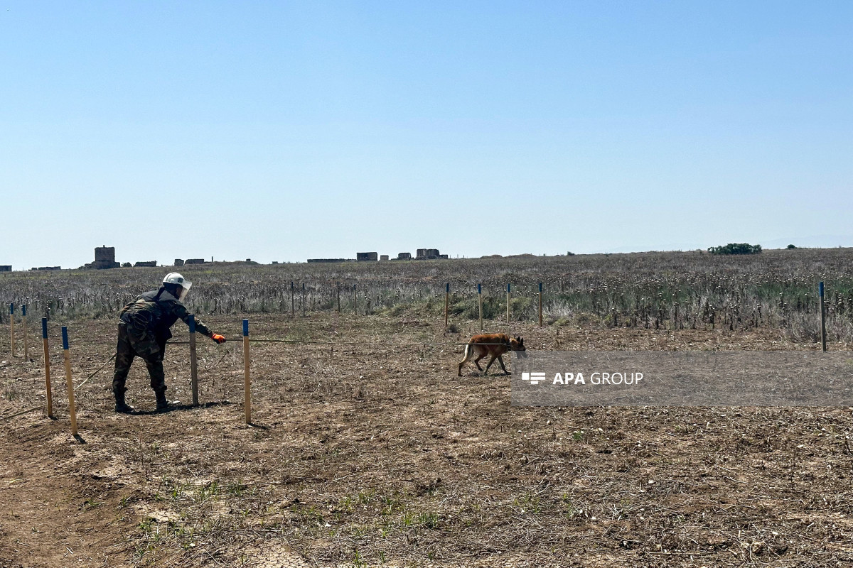 International Commission: Mines pose challenge to finding missing persons