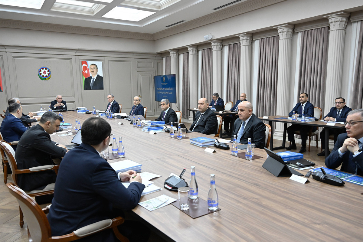 Economic Council holds meeting, discuss Action Plan on Agrarian Insurance