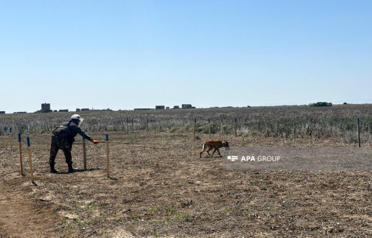 International Commission: Mines pose challenge to finding missing persons