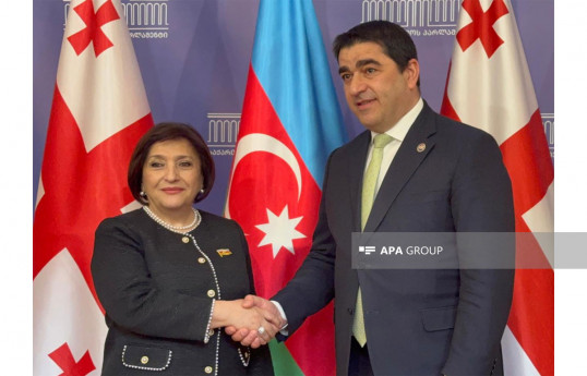 Azerbaijani Parliament's Speaker meets her Georgian counterpart, inks MoU