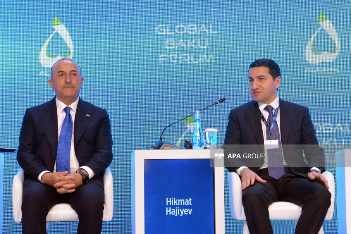 Georgia-Azerbaijan neighborly relations can be example for Armenia - Assistant to President