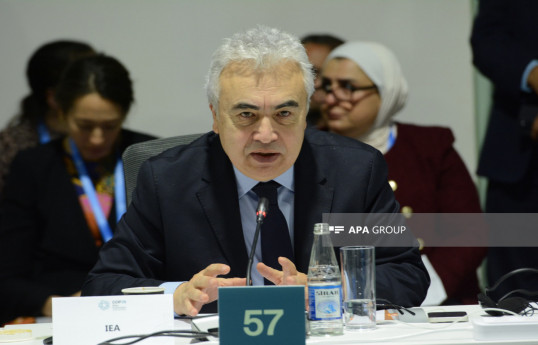 Fatih Birol Executive director of the International Energy Agency