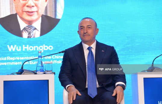 Panel discussion held within framework of XII Global Baku Forum -PHOTO 