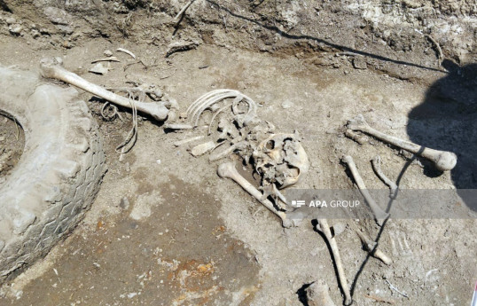 Bones likely belonging to a human found in Azerbaijan's Aghdam