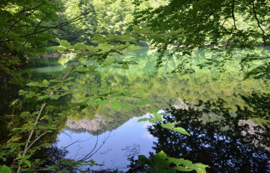 Azerbaijan to prepare maps of forests and specially protected areas in liberated territories