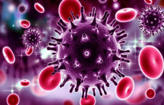 Azerbaijan remains among countries with low HIV infection rates