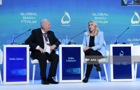 Bosnia and Herzegovina Presidency Chairwoman: High Representative making all decisions leads country into crisis