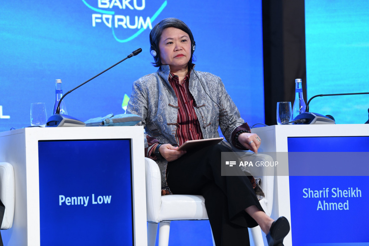 Former Prime Minister: Azerbaijan's reconstruction work in liberated territories could be  model for world -PHOTO 