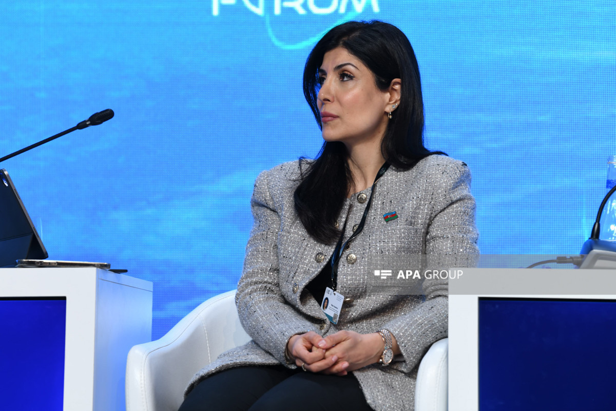 Another panel discussion held within framework of XII Global Baku Forum -PHOTO 
