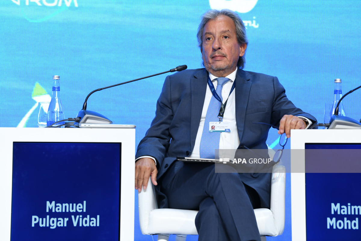 Another panel discussion held within framework of XII Global Baku Forum -PHOTO 