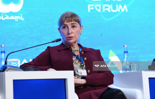 Susan Greenfield, a member of the House of Lords in the United Kingdom