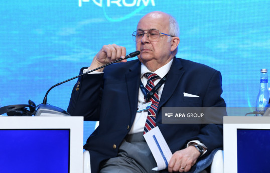 Ismail Serageldin, co-chair of the Nizami Ganjavi International Center