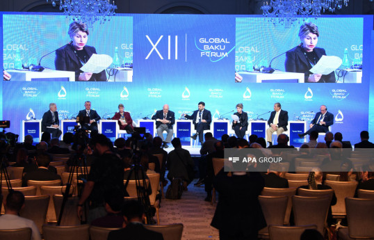 Panel discussion on health held at the XII Global Baku Forum -PHOTO 