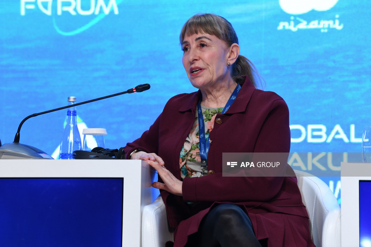 Panel discussion on health held at the XII Global Baku Forum -PHOTO 
