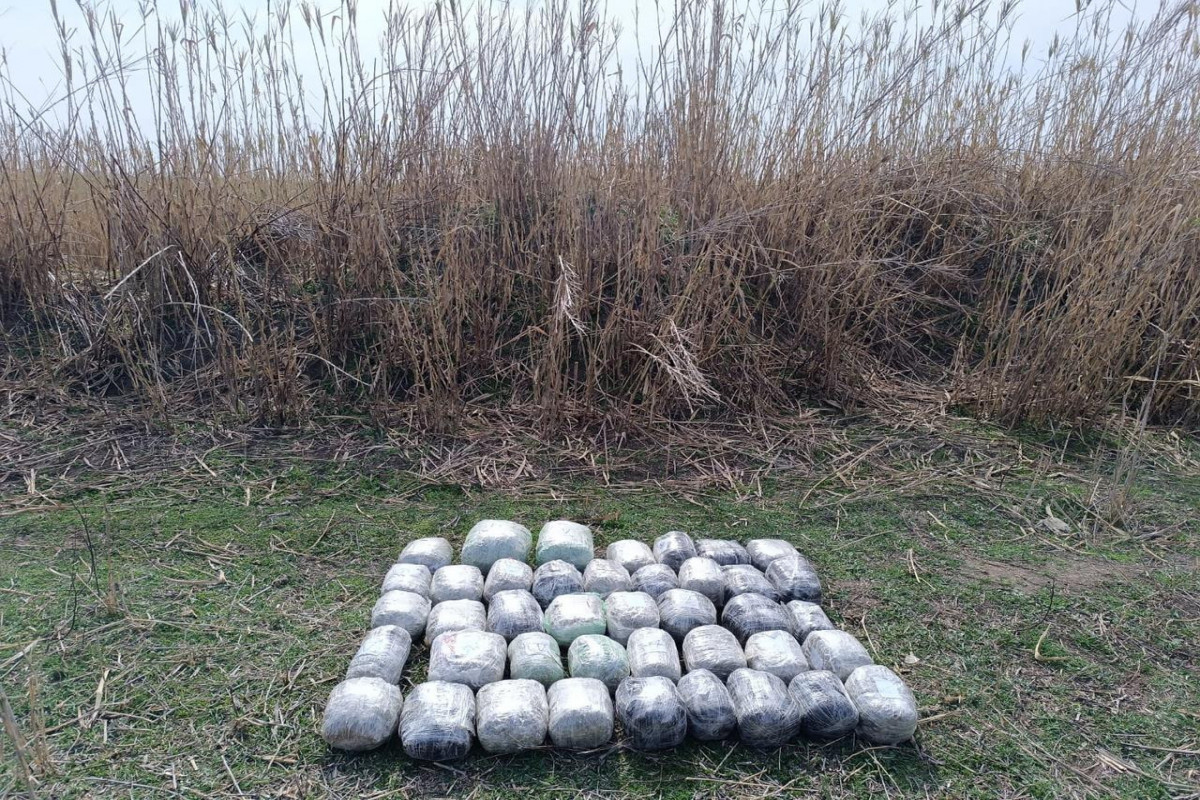 Azerbaijan prevents smuggling of 46 kg of drugs from Iran-PHOTO 