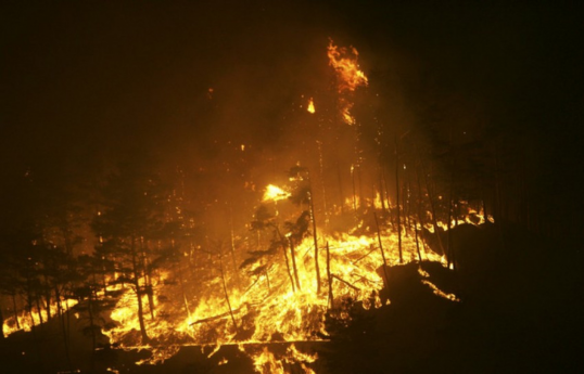 At least 4 killed, 1,500 evacuated in wildfires raging through South Korea’s southeastern region