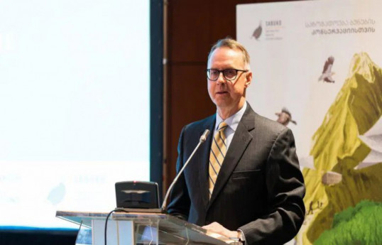 Germany's Ambassador to Georgia, Peter Fischer