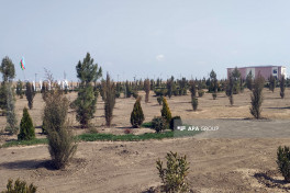 Azerbaijan to build 425 private houses over two phases in Agdam's Sarijali village