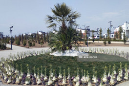 Azerbaijan to build 425 private houses over two phases in Agdam's Sarijali village