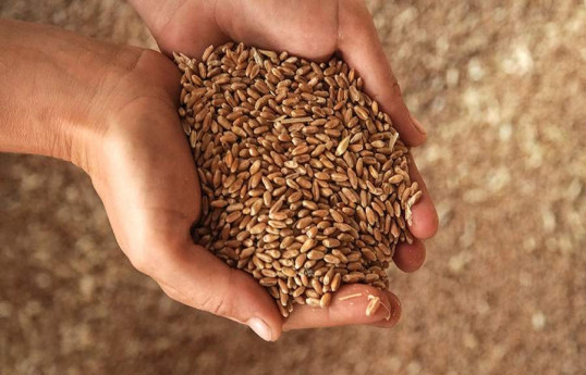 EU plans to cut agricultural imports from Ukraine starting in June