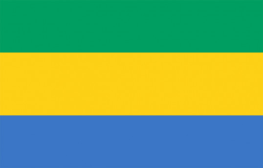 Gabon's transitional President congratulates Azerbaijani head of state