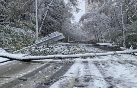 Anomalous May snow leaves over 400 settlements without power in Moscow region