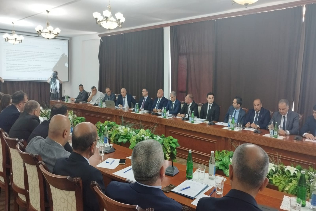 Deputy Minister: Works in green energy field in Karabakh can be set as example to world