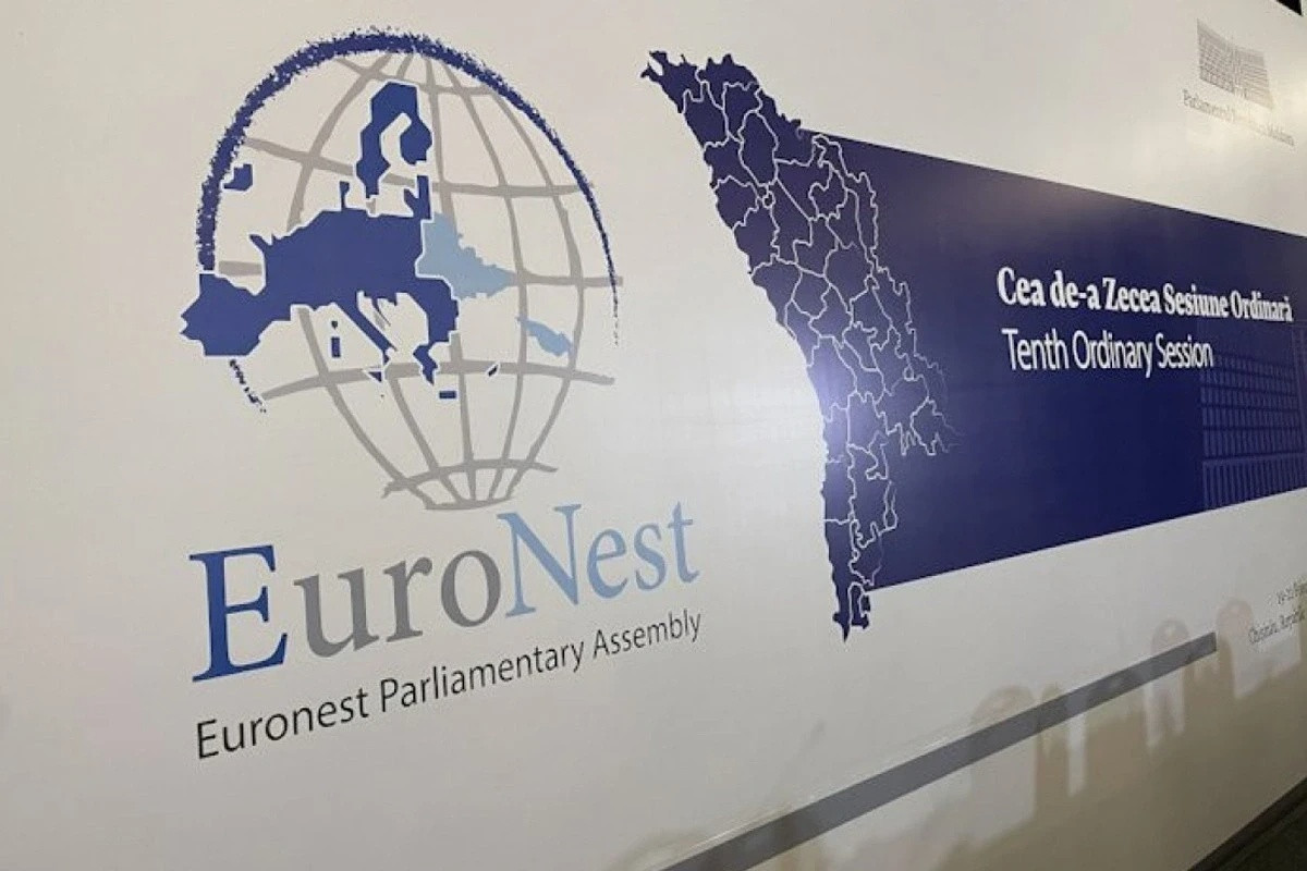Georgia suspends participation in Euronest PA