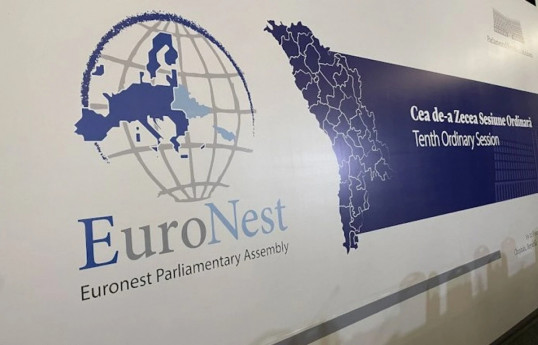 Georgia suspends participation in Euronest PA