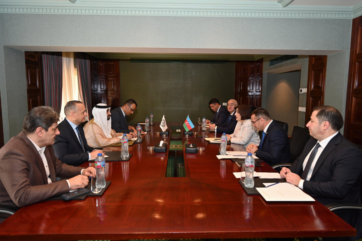 Speaker of the Milli Majlis Sahiba Gafarova met with the President of the Arab Parliament