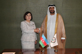 Speaker of the Milli Majlis Sahiba Gafarova met with the President of the Arab Parliament
