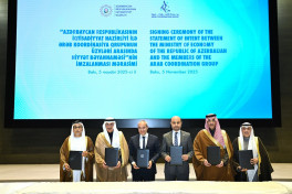 High-level roundtable of Arab Coordination Group was held in Baku