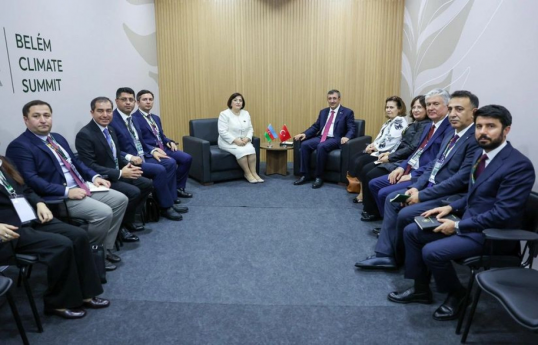 Speaker of Azerbaijani Parliament meets with Vice President of Türkiye