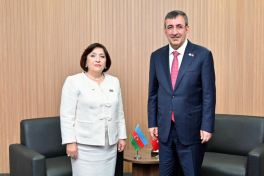 Speaker of Azerbaijani Parliament meets with Vice President of Türkiye