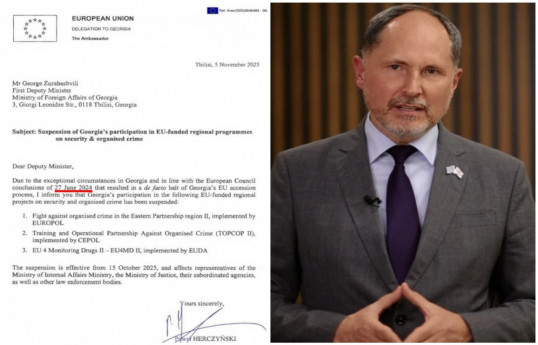 Media: EU has suspended Georgia's European integration process