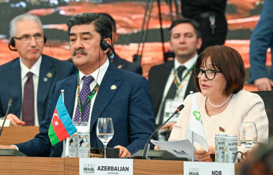 Speaker of Azerbaijani Parliament addresses COP30 'Energy Transition' Thematic Session