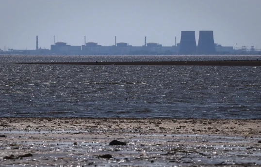 Zaporizhzhia nuclear plant to repair second power line under ceasefire