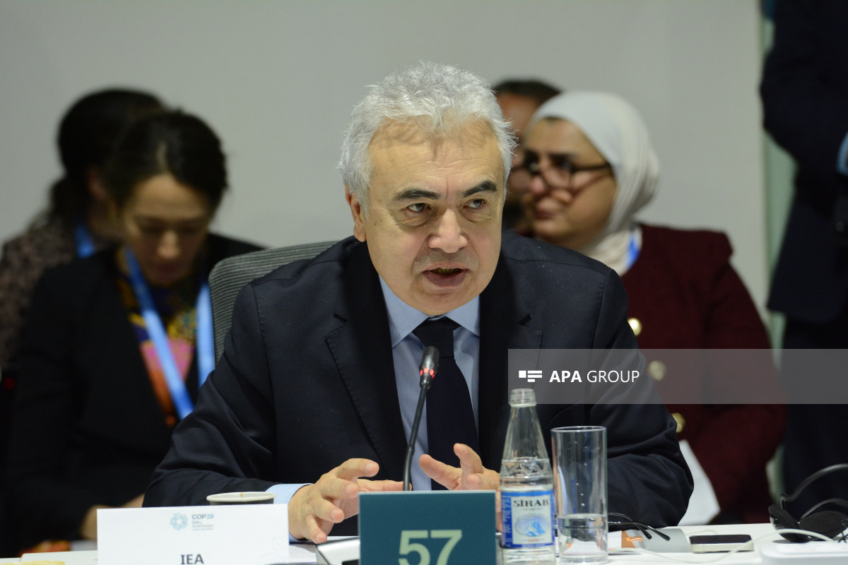 Fatih Birol, Executive Director at International Energy Agency