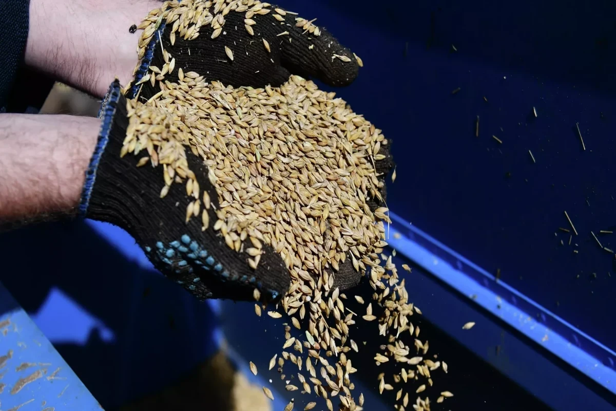 SVR: Armenia intends to reject Russian grain in favor of Ukrainian supplies