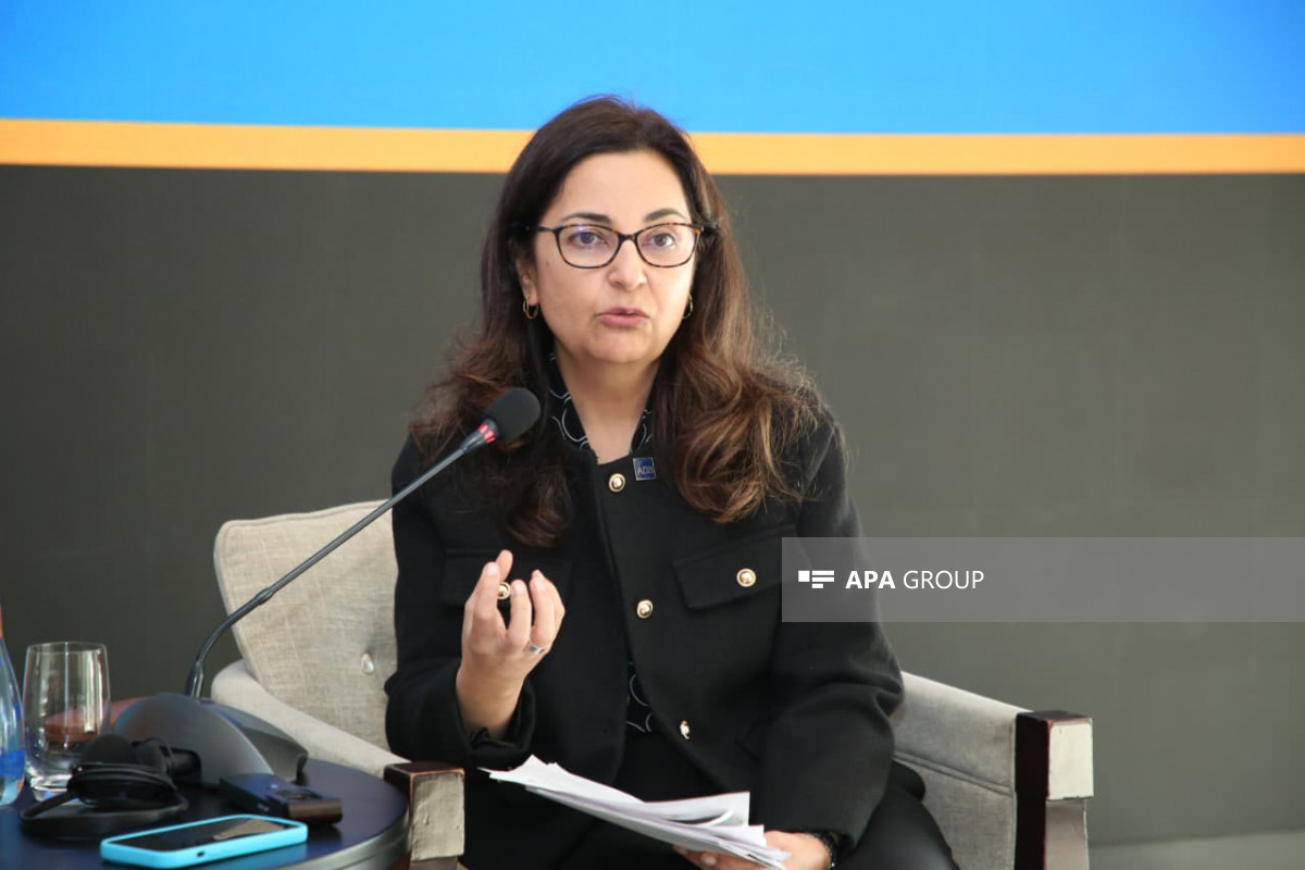 Asian Development Bank’s (ADB) Country Director for Azerbaijan, Sunniya Durrani-Jamal